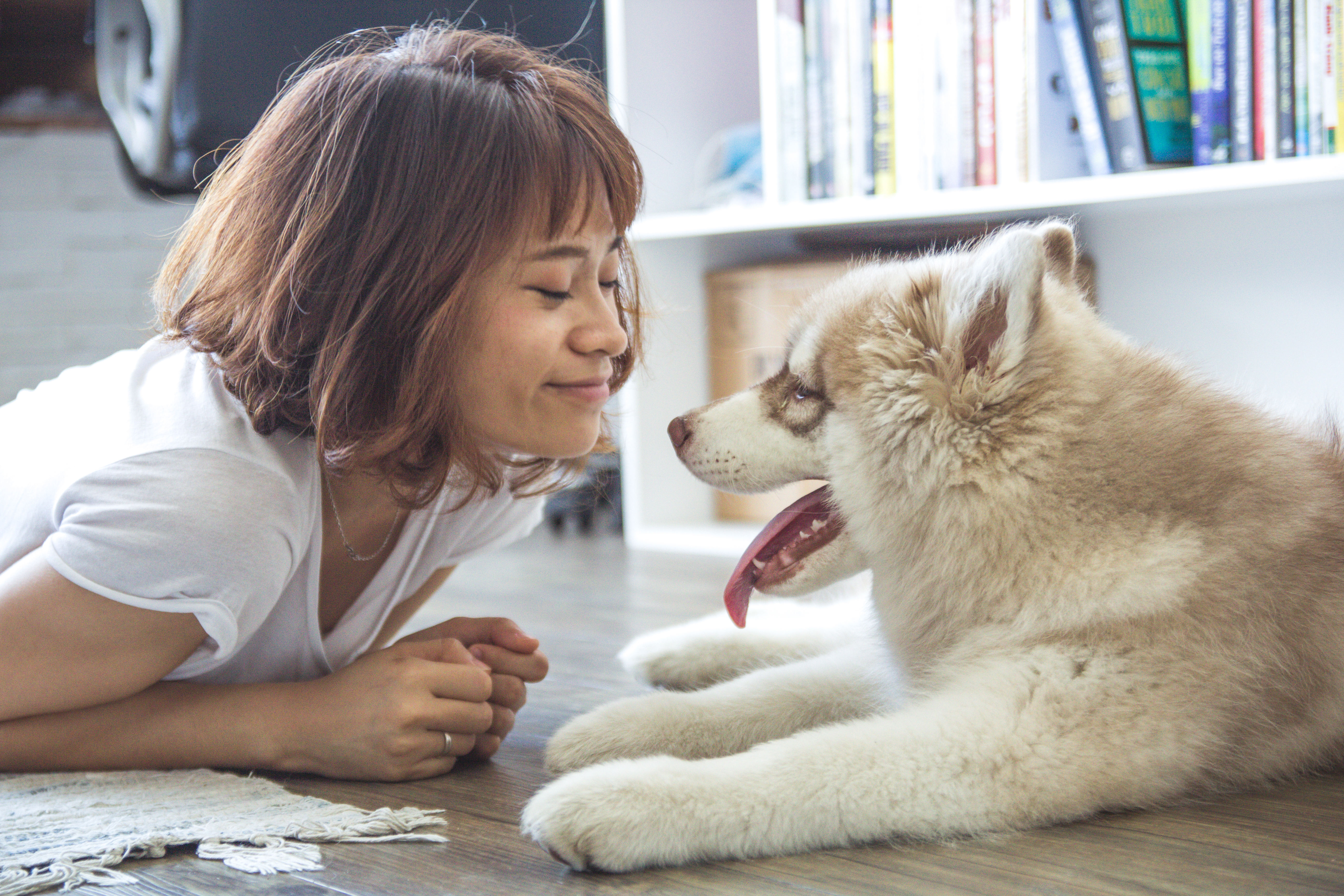 Things To Consider When Looking For An Animal Communicator