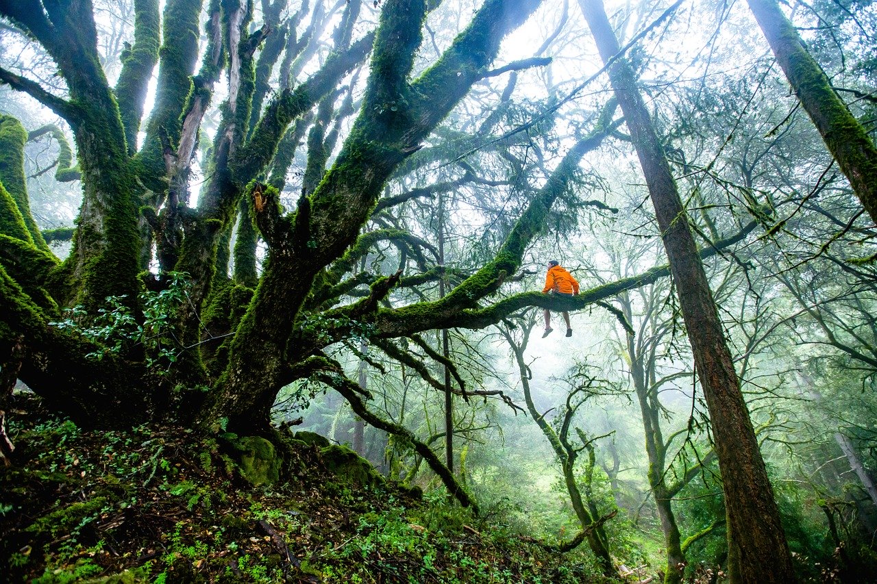 Effective Ways to Promote Sustainable Tourism