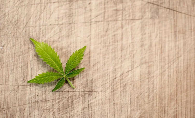 Historical Points of the Canadian Medical Marijuana Program