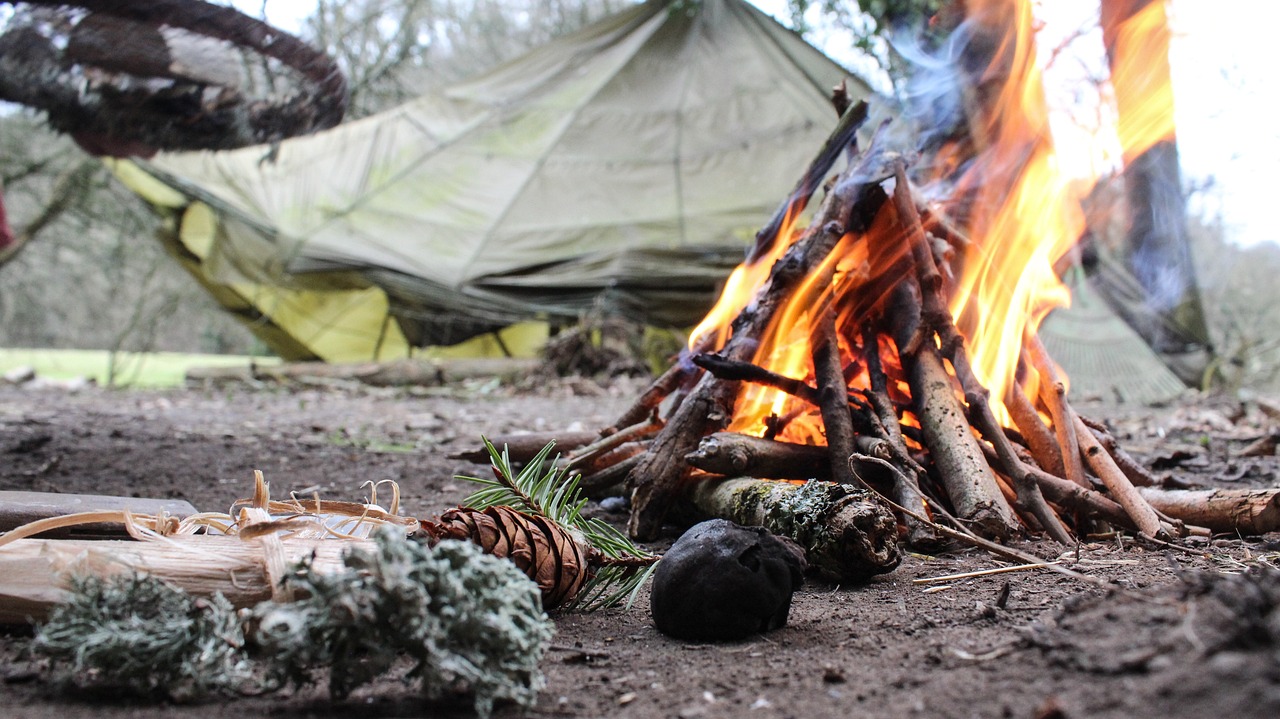 Why You Should Attend a Survival Camp