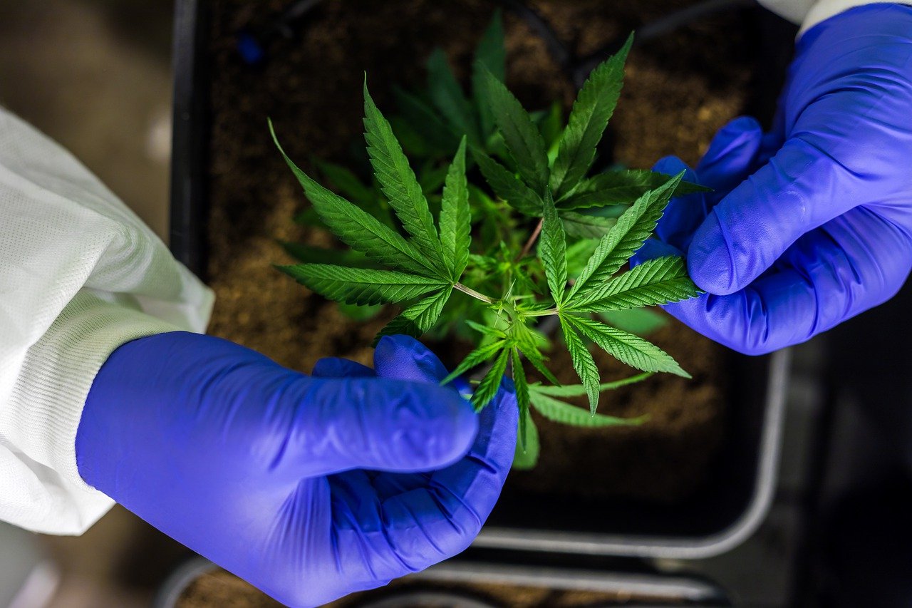 Dope or Nope: Trendy Cannabis Products Millennials Can’t Resist